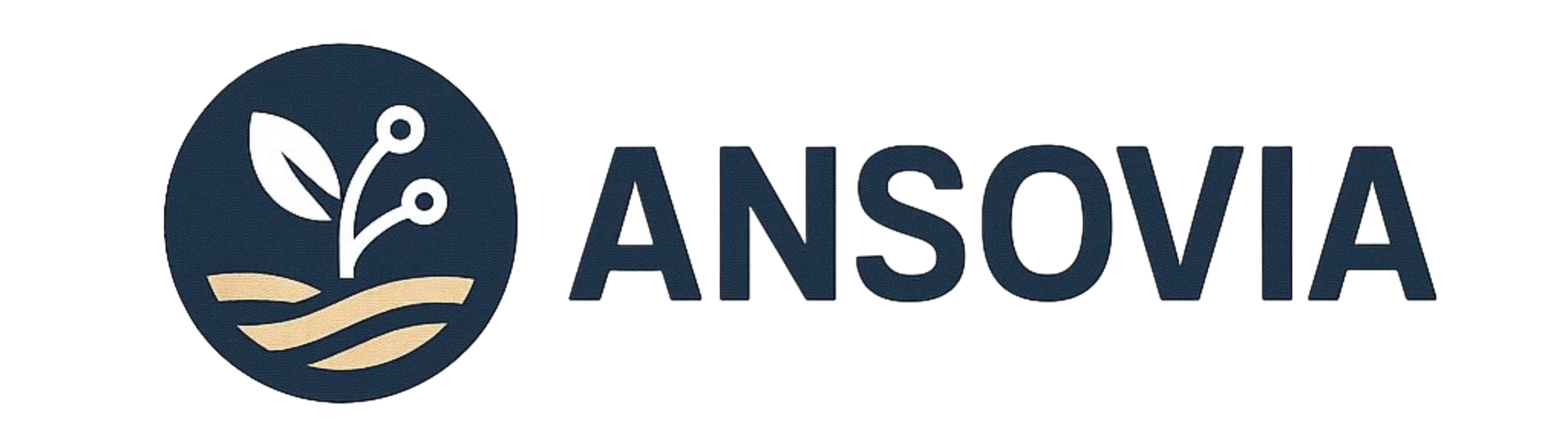 Ansovia Logo